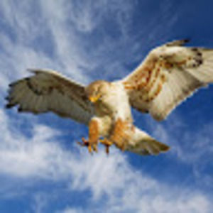 Meet your Posher, Matt